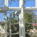 코끼리아프리카까스까스 이미지