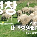 상민목장 이미지