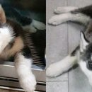 8호화장실 이미지