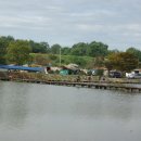 울성1로 이미지