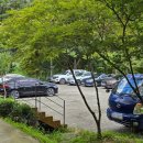 1155 | [성주 카페 추천] 드라이브 코스로 좋은 대구 근교 카페 애견동반 우디1155 후기