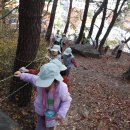 마지막 배산 숲 활동 🌳 이미지