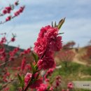 신정2리 마을회관 이미지
