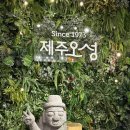 오성식당 | 아이랑 가기 좋은 제주 중문 식당 내돈내산 후기 제주오성 순살갈치조림 제주도 중문점 아기랑