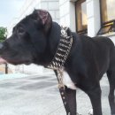 오도2리 이미지