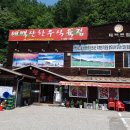 태백산한우촌 이미지