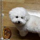 멍냥의민족수원 - 수원시 팔달구 월드컵로 327 | [일상] 10월, 가족중심적
