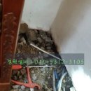 화성수도설비누수탐지공사