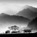 미술관옆약국 이미지