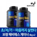 보령헤비매스