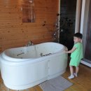 솜니움트리 이미지