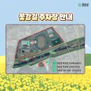 단지입구 야외주차장 | 전남 여행 화순 봄꽃축제 꽃강길 주차장 라인업 먹거리 방문후기
