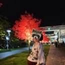 고은의료기 | [출산] 임신 및 자연주의출산