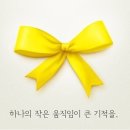 리본 Daum카페