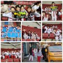 여명태권도장 이미지