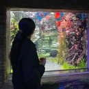 아쿠아플라넷 여수 | 쿠팡보상쿠폰 할인찬스, 여수 아쿠아플라넷 다녀온후기