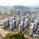 중앙탑중학교 앞 이미지