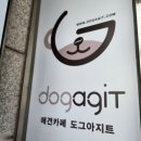 도그 아지트 이미지
