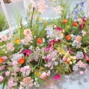 보태니컬 이미지