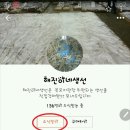 해진수산 Daum카페