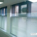 동북초교 이미지