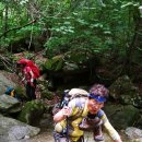 7/25일 백운산. 도마치봉(바람대장님 리딩)2탄 이미지