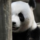 중국어 중급B 이미지