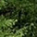 치아나라234치과의원 이미지