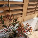 다우리내과의원 이미지