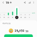 쇠미산식당