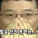 바닐리 이미지