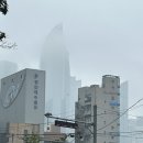 더스토리컴퍼니광안해수월드점 | [부산 여행] 설렘 가득한 나 홀로 부산 투어 2일차 : 나 혼자 부산 여행