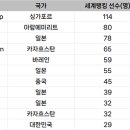 피아비스콤 이미지