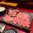 야키니쿠 센 | 난바에서 찾은 가성비 야끼니꾸 - 야키니쿠 덴센츠 바리바리 센리치마에 강추 후기