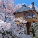 느린섬 작가의 집 이미지