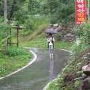 가인민박 이미지