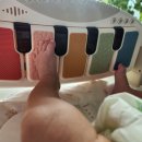 무진체육관 | 감성육아템 젤리맘 보이보이 아기체육관 직접 사용 후기