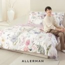 알레르망 이미지