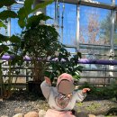 자연생태공원 나비애벌레관 옆 | 아산 생태곤충원 | 20개월 아기랑 가기 좋은 실내 나들이 코스