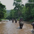 건강드림센터 | 화성요양원 시립화성실버드림센터(2026년10월예정) 새로운 보금자리가 옵니다