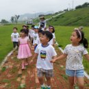 왜관초교(병설) 이미지