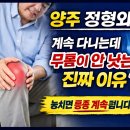 양주아산정형외과의원 | 양주 정형외과 계속 다니는데 무릎이 안 낫는 진짜 이유