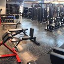 머슬팩토리 하단점 이미지