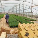 만물농약사 이미지