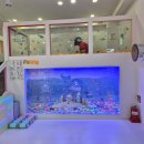 유성오토바이 | 키즈다쿵 대전유성점 15개월 아기가 놀기 좋을까? 내돈내산 후기