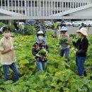 발달장애인평생학습관 이미지