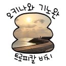 가기 | 오키나와 기노완 트로피칼 비치｜아기랑 가기 좋은 무료 해변 후기