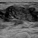 박근준유외과의원 이미지