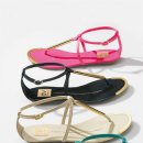 브로시스 이미지