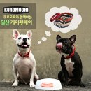 케이모찌